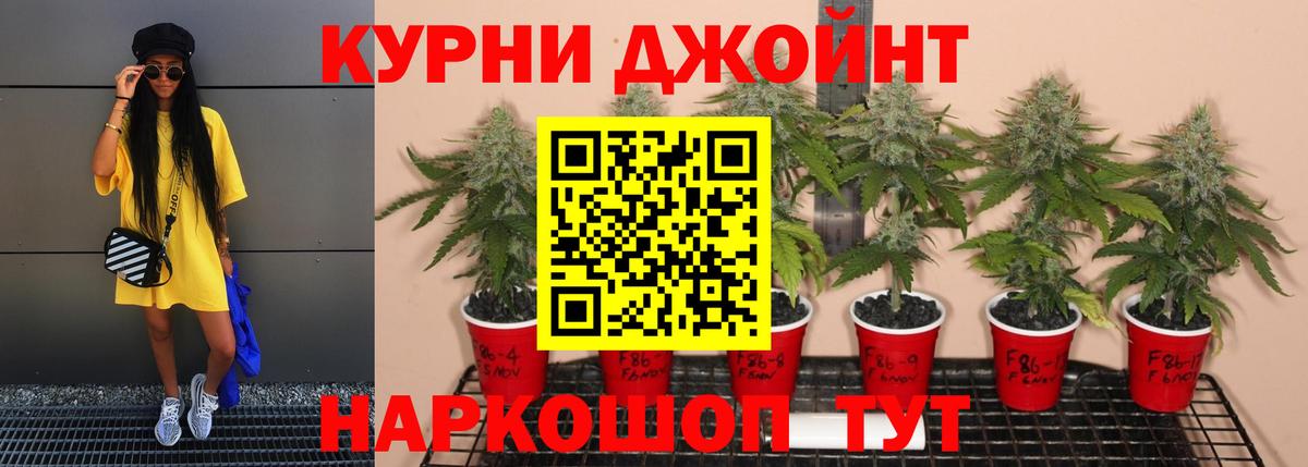 Шишки марихуана планчик  Каннабис Amnesia  Вход с VPN  Нижнеудинск  Бошки Шишки ГИДРОПОН  Каннабис White Widow 